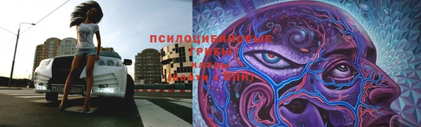 стаф Белоозёрский