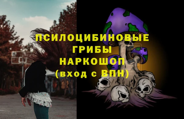 мяу мяу мука Белокуриха